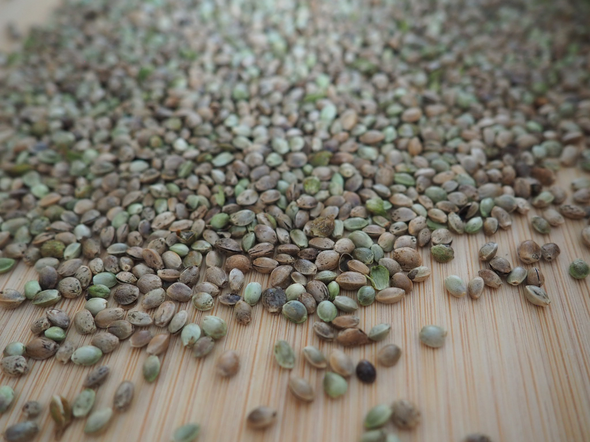 Hempy_Bio_Futterhanf_Hauptbild